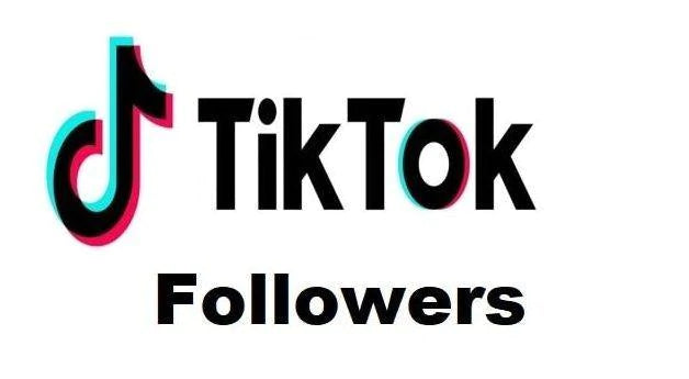 TikTok Subscription!! 500 Followers Per Month