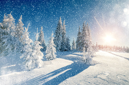 Fun Social Media Trends to Try While Snowed In